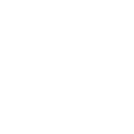 Higgsfield Logo